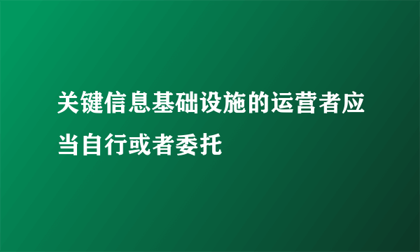 关键信息基础设施的运营者应当自行或者委托