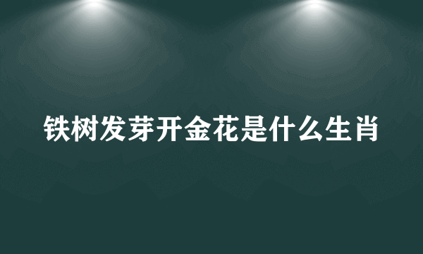 铁树发芽开金花是什么生肖