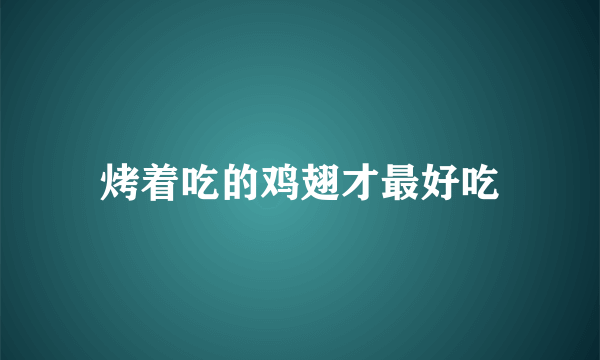 烤着吃的鸡翅才最好吃