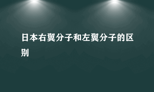 日本右翼分子和左翼分子的区别