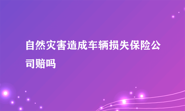 自然灾害造成车辆损失保险公司赔吗