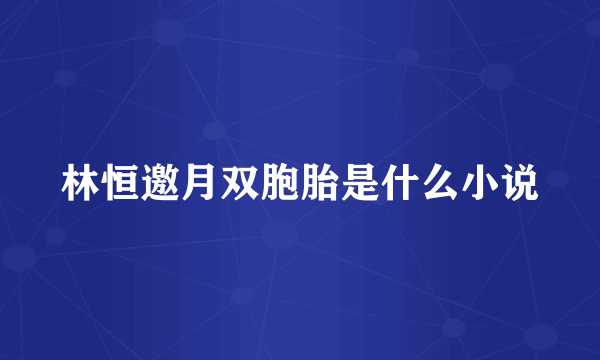 林恒邀月双胞胎是什么小说