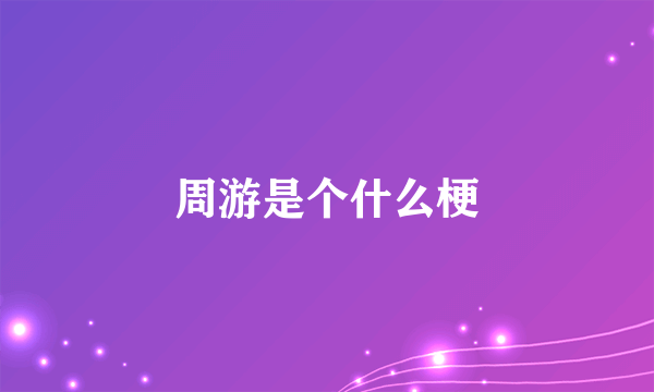 周游是个什么梗