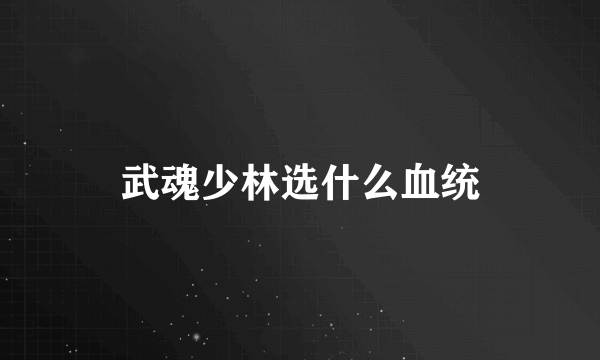 武魂少林选什么血统