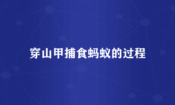 穿山甲捕食蚂蚁的过程