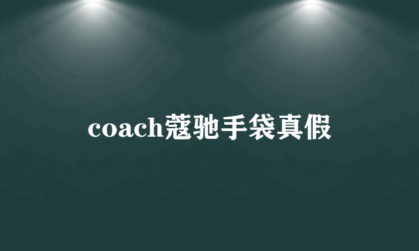 coach蔻驰手袋真假