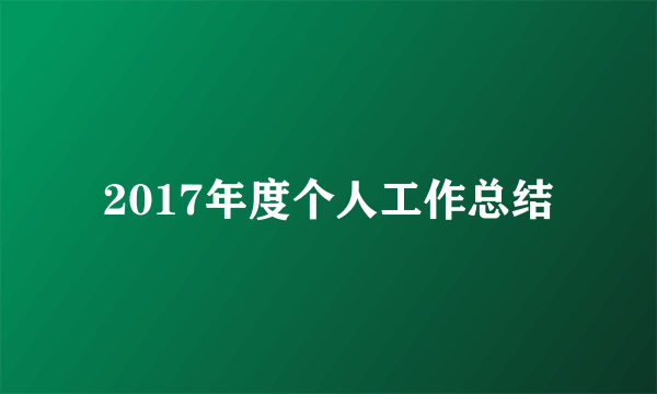 2017年度个人工作总结