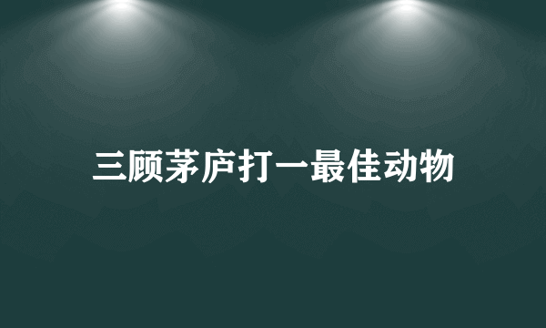 三顾茅庐打一最佳动物