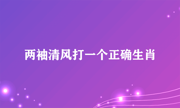 两袖清风打一个正确生肖