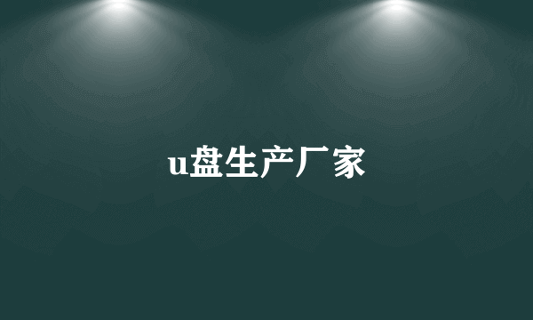 u盘生产厂家