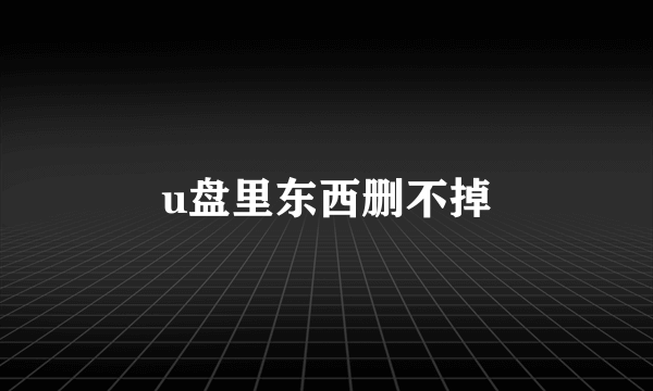 u盘里东西删不掉