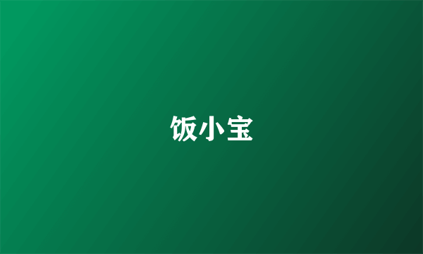 饭小宝