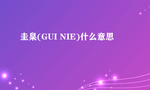 圭臬(GUI NIE)什么意思