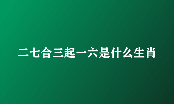 二七合三起一六是什么生肖