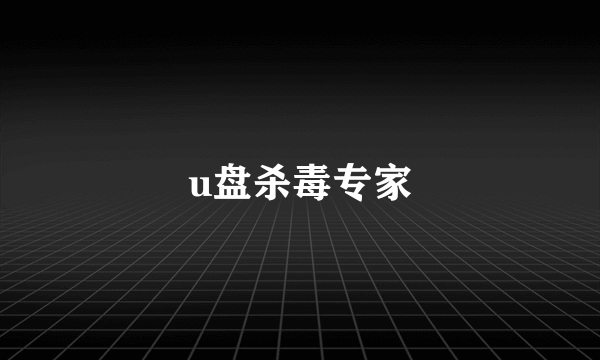 u盘杀毒专家