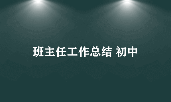 班主任工作总结 初中