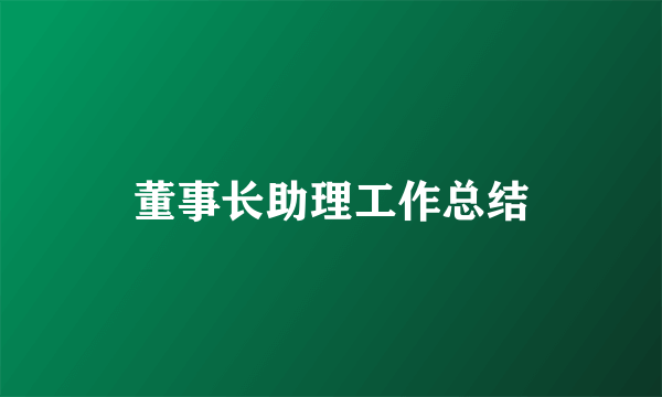 董事长助理工作总结