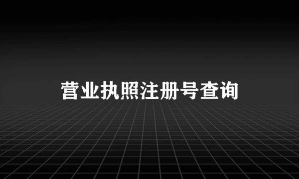 营业执照注册号查询