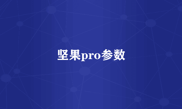 坚果pro参数